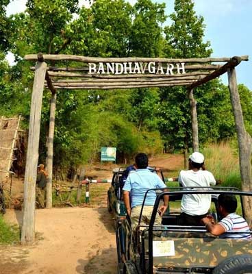 do dont in bandhavgarh