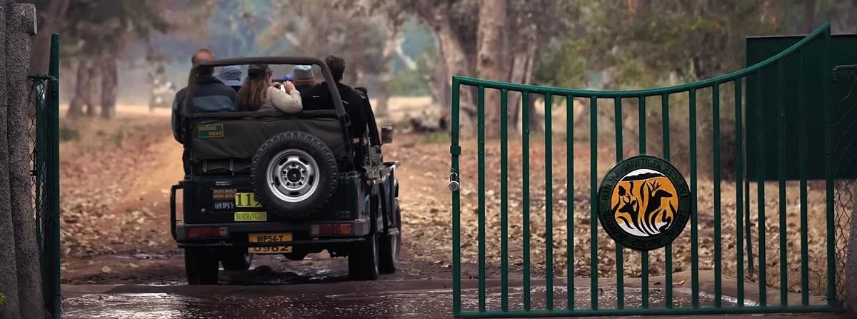 Bandhavgarh Jeep Safari Tour Plan from Bangalore