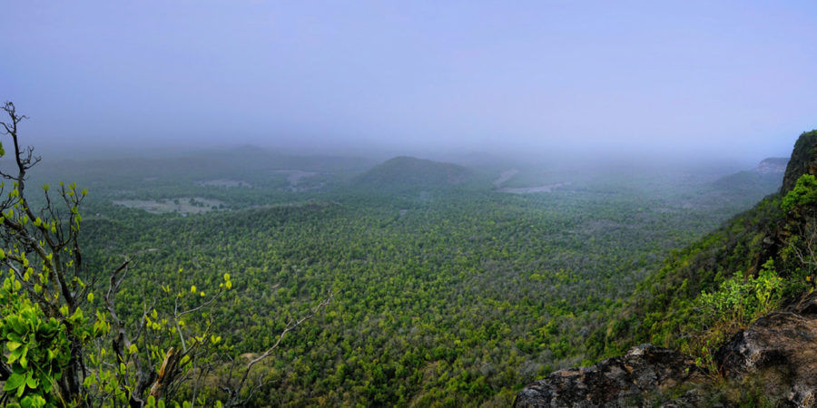 Top 3 Reasons to visit Bandhavgarh National Park