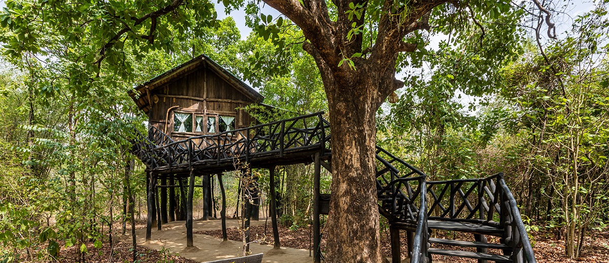 How Many Days are Enough to Explore Bandhavgarh National Park