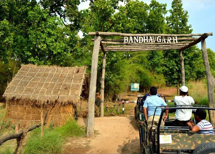 bandhavgarh online safari