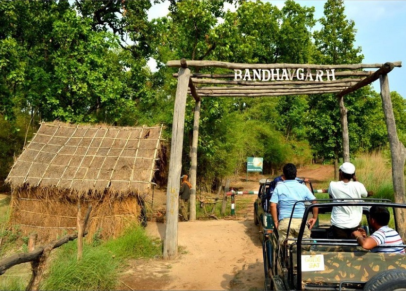 bandhavgarh national park safari booking price