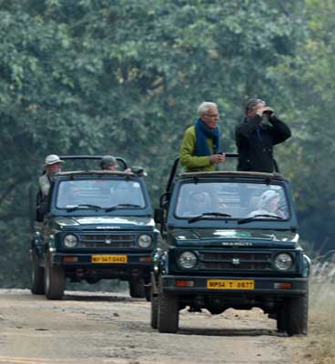 how to plan bandhavgarh tour