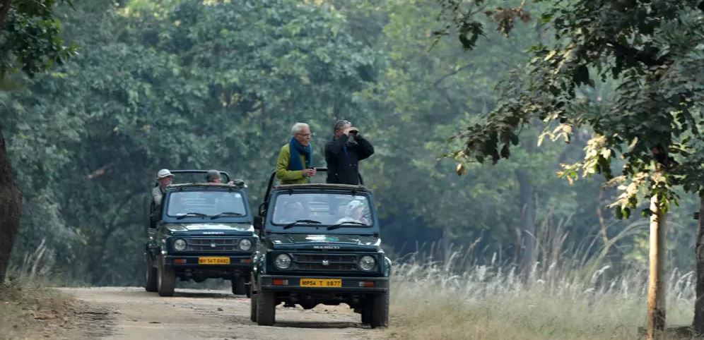 A Day in Bandhavgarh’s Tala Zone with Jeep Safari Booking