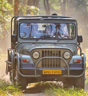 bandhavgarh jeep safari