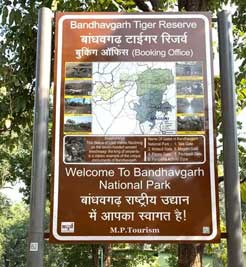 safari zone bandhavgarh