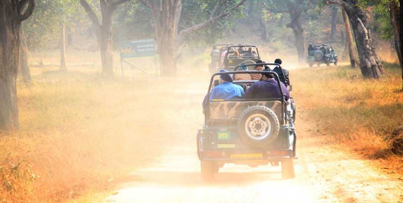bandhavgarh safari tips