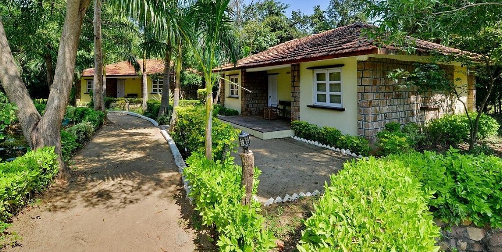 Budget-Friendly Hotels in Bandhavgarh National Park