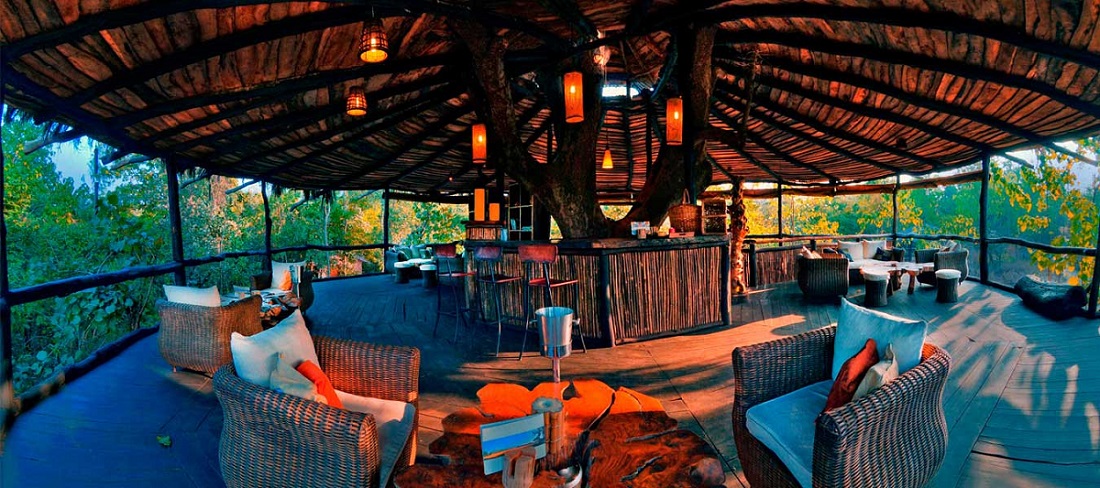 Delve Into Luxury at Resorts in Bandhavgarh National Park
