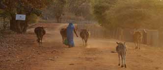 tala village bandhavgarh